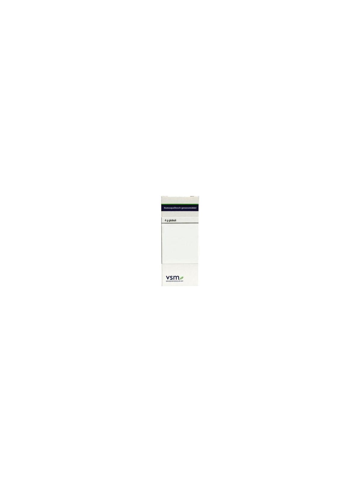 Carduus marianus LM30