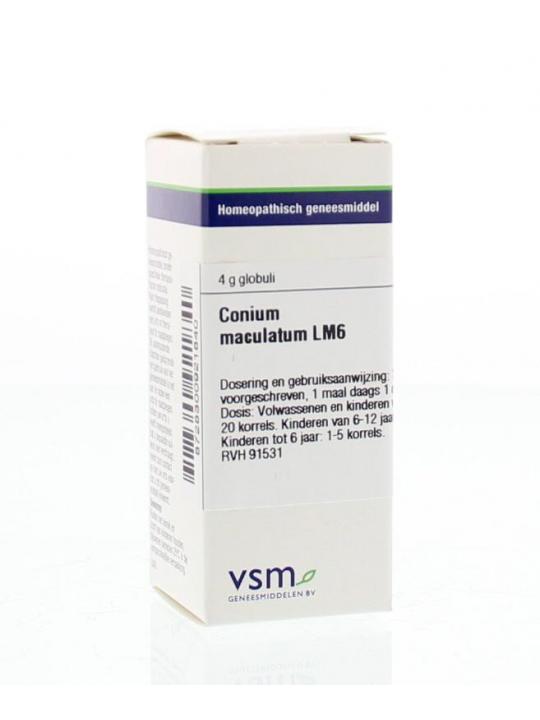 Conium maculatum LM6