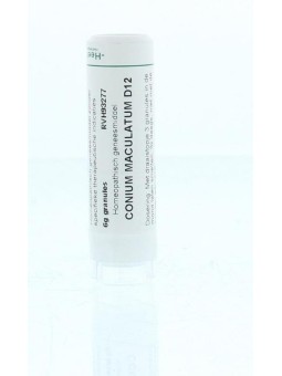 Conium maculatum D12