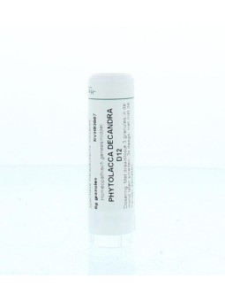 Phytolacca decandra D12