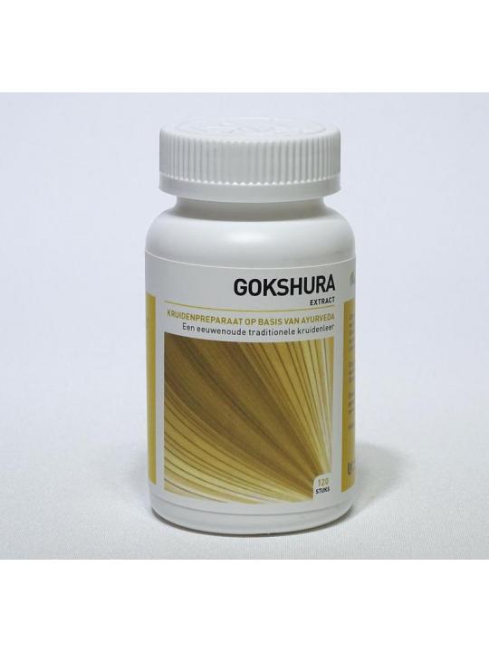 Gokshura tribulus