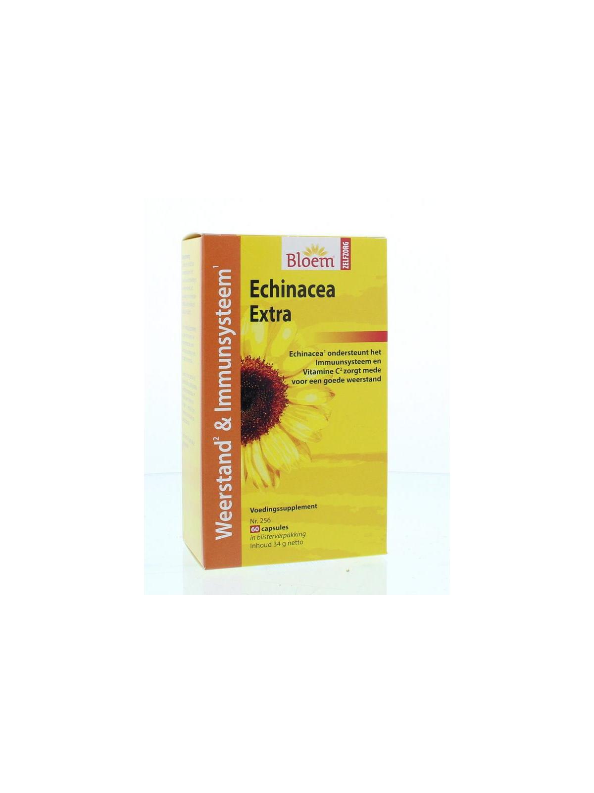 Echinacea