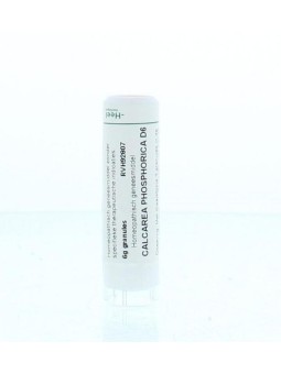 Calcarea phosphorica D6