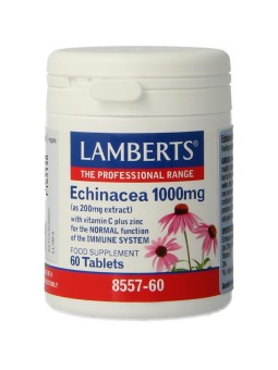 Echinacea 1000mg met zink en vitamine C
