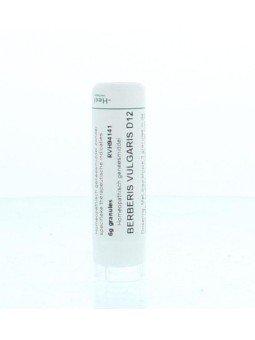 Berberis vulgaris D12