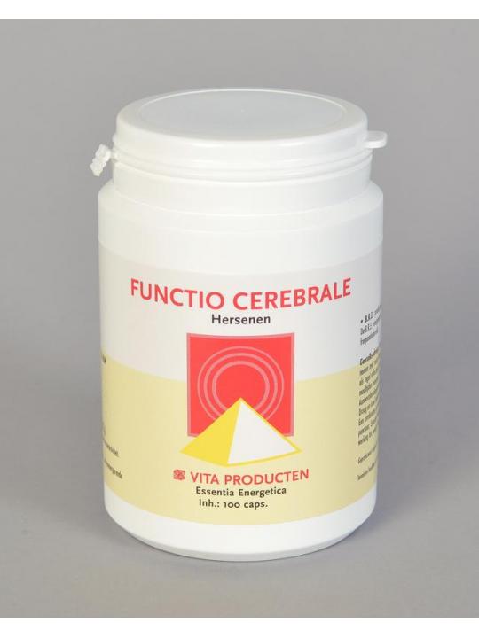 Functio cerebrale