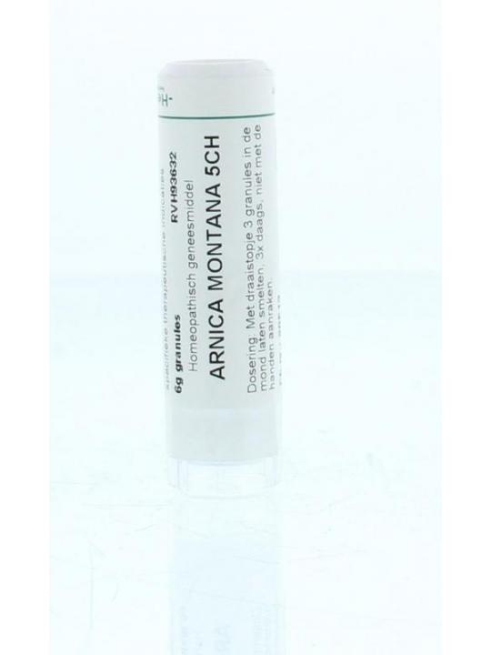 Arnica montana 5CH