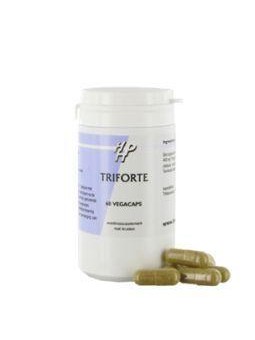 Triforte