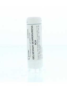 Gelsemium sempervirens 9CH
