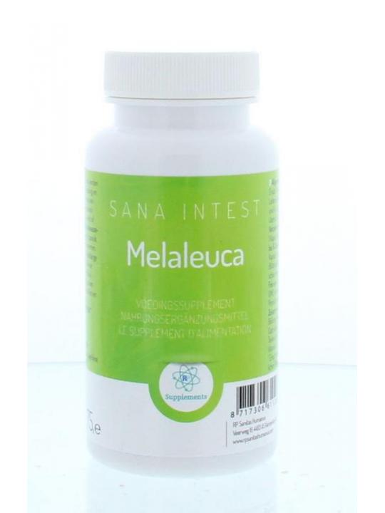 Melaleuca