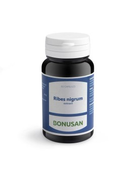 Ribes nigrum