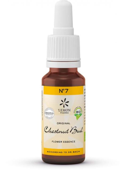 Bach bloesemremedies chestnut bud bio