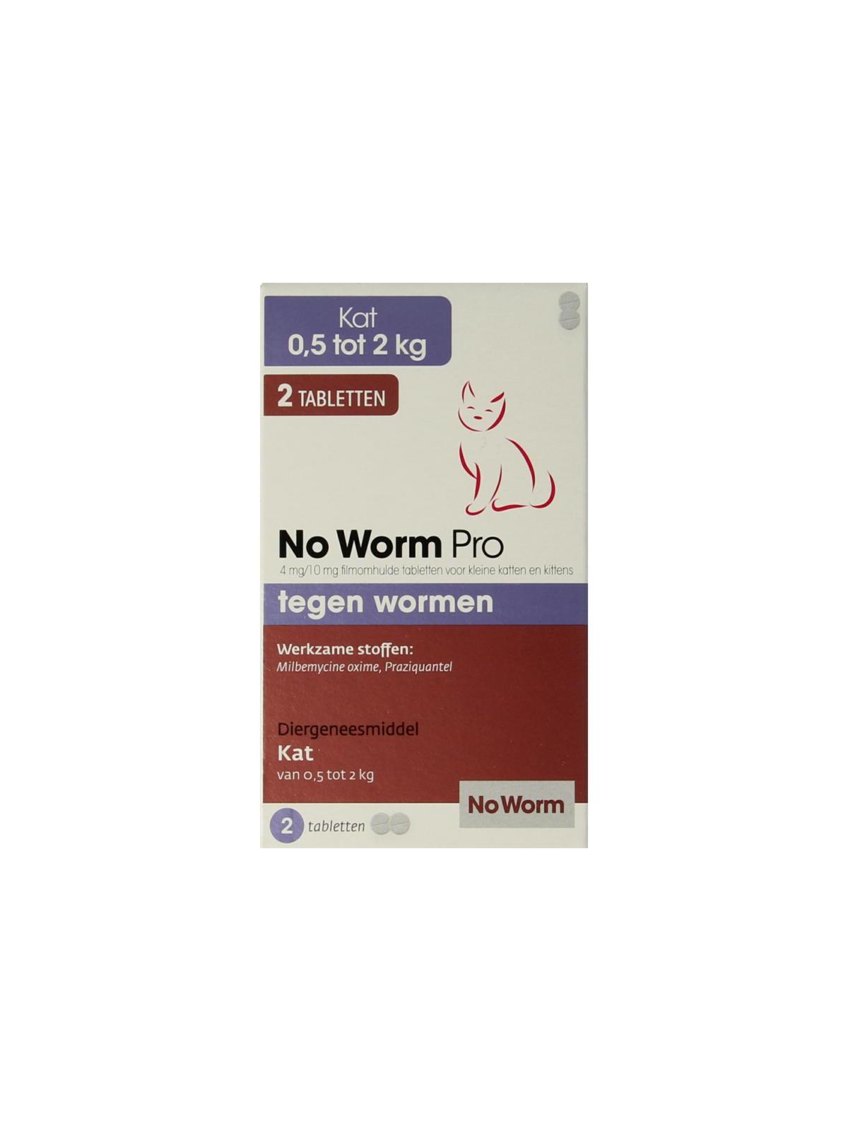 No worm pro kitten