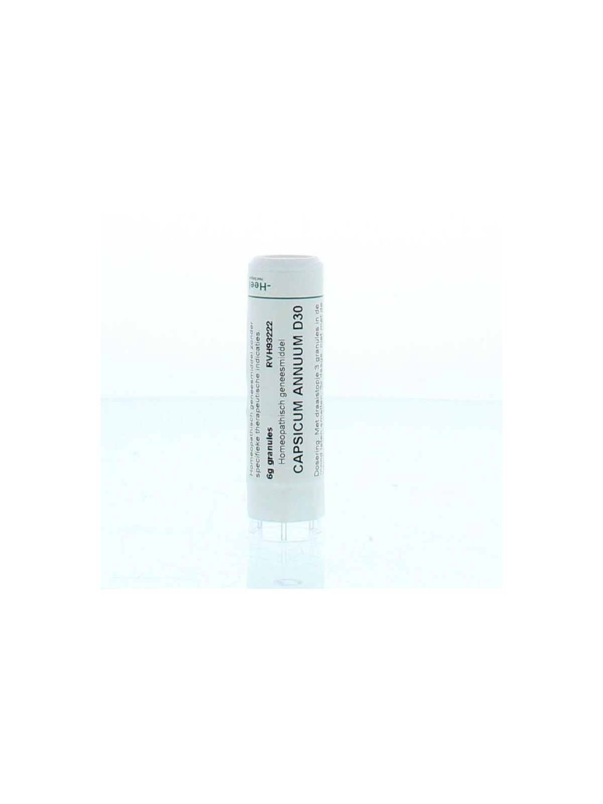 Capsicum annuum D30