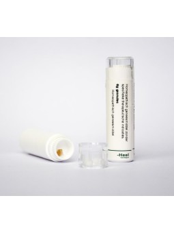 Ginkgo biloba D30
