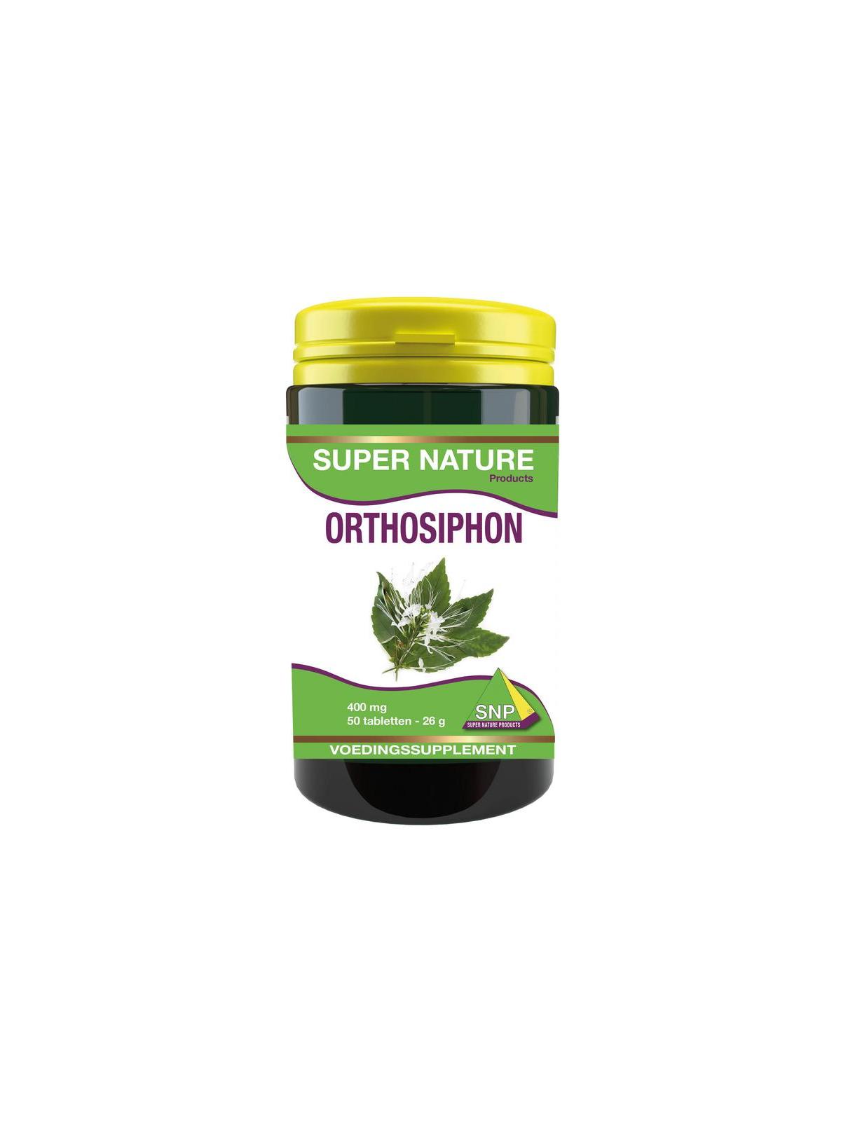 Orthosiphon
