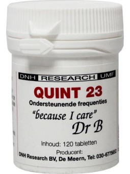 Quint 23