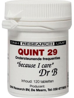 Quint 29