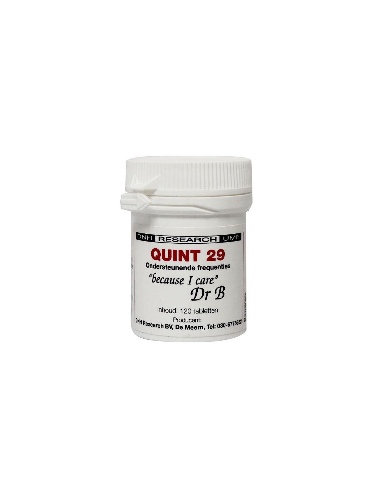 Quint 29