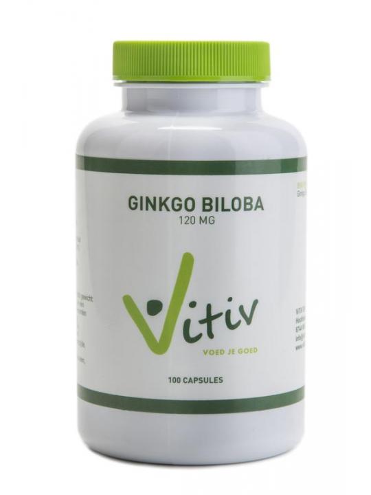 Ginkgo biloba