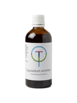 Equisetum