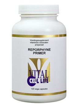 Reporphyne primer