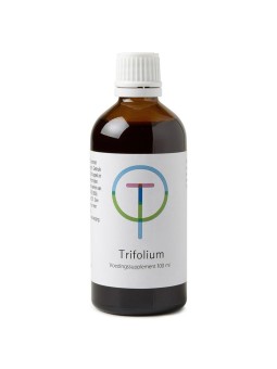 Trifolium pratense