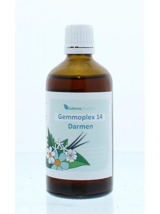 HGP014 Gemmoplex darmen