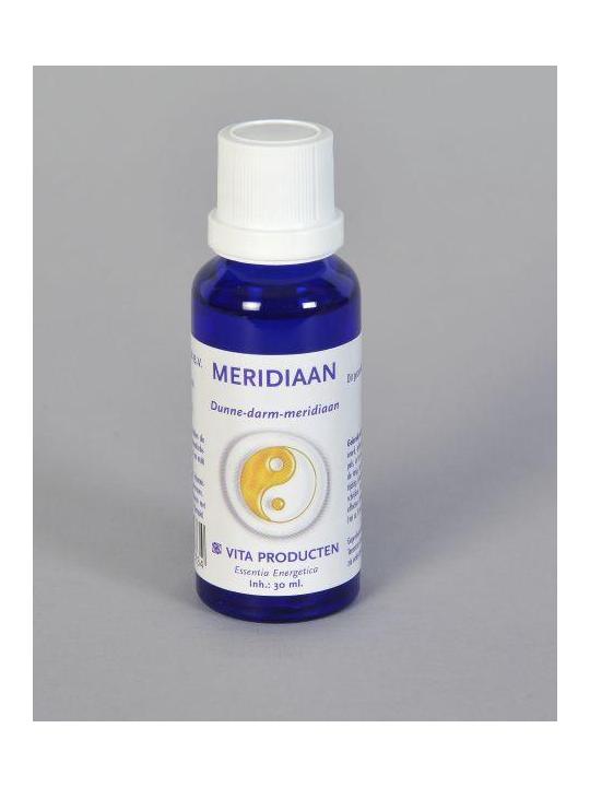 Meridiaan dunne darm meridiaan
