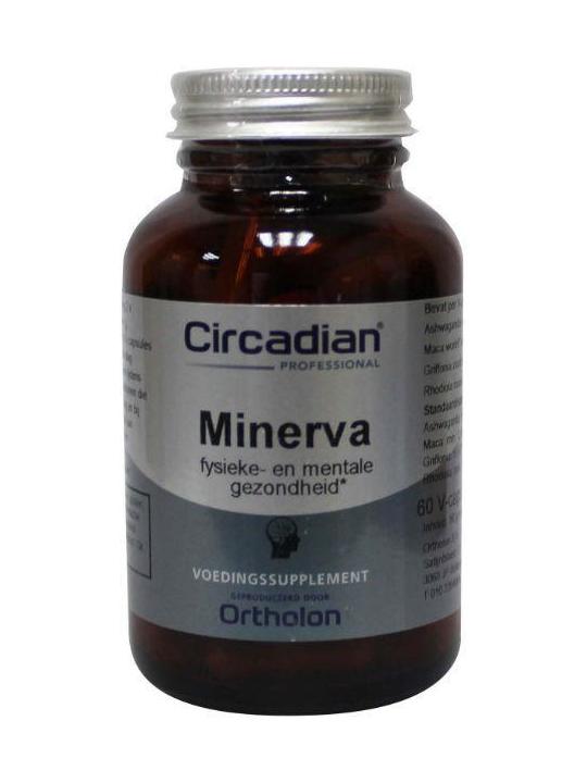 Minerva