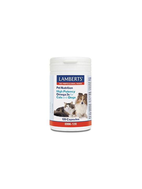 Omega 3 voor dieren hond en kat