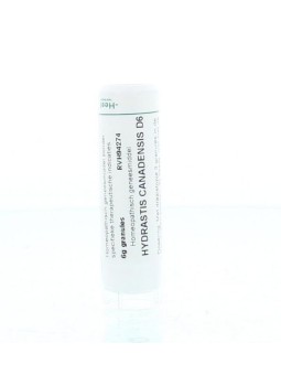 Hydrastis canadensis D6