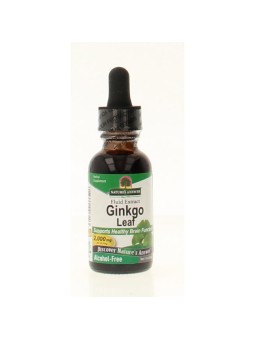 Ginkgo biloba extract alcoholvrij