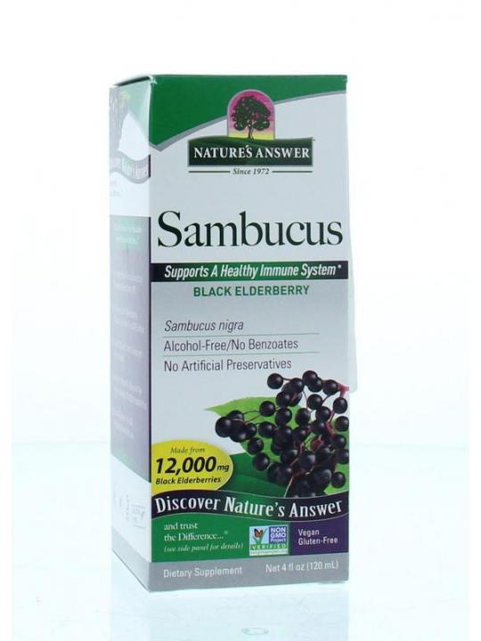 Sambucus vlierbessen extract alcoholvrij