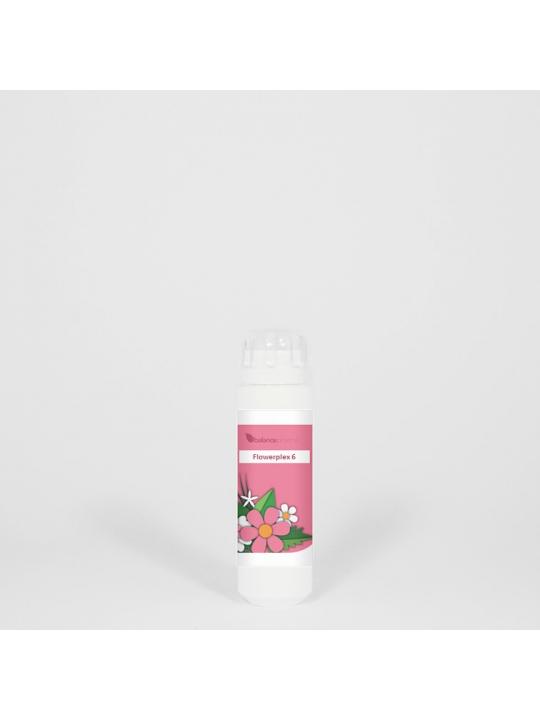 HFP006 Vitaliteit flowerplex