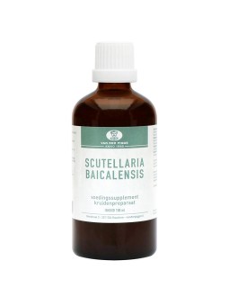 Scutellaria baicelensis tinctuur