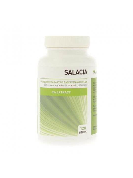 Salacia oblonga 5% saponinen extract