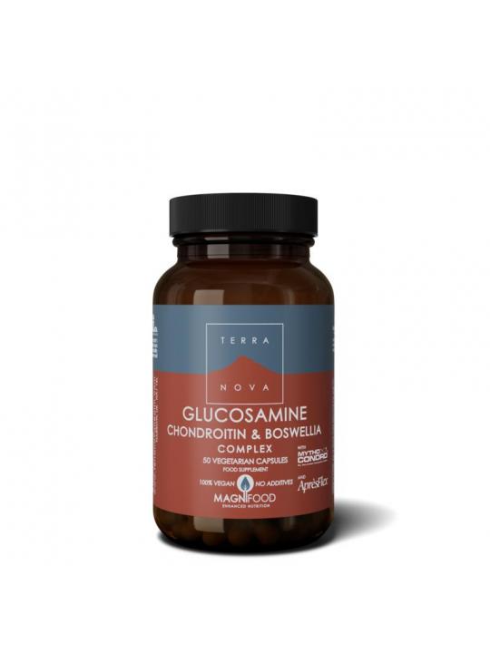 Glucosamine chondroitin & boswellia complex