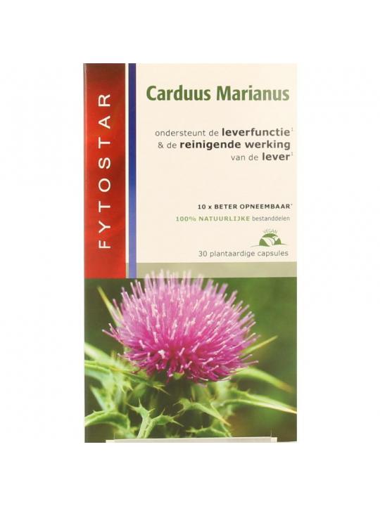 Carduus marianus