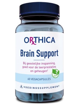 Brain support