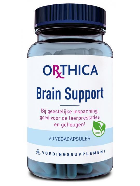 Brain support