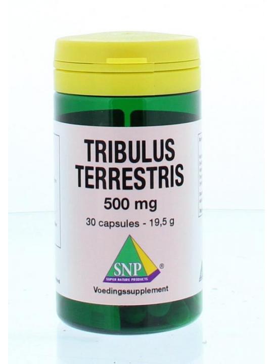 Tribulus terrestris 500 mg