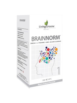 Brainnorm