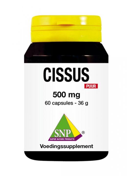 Cissus 500mg puur