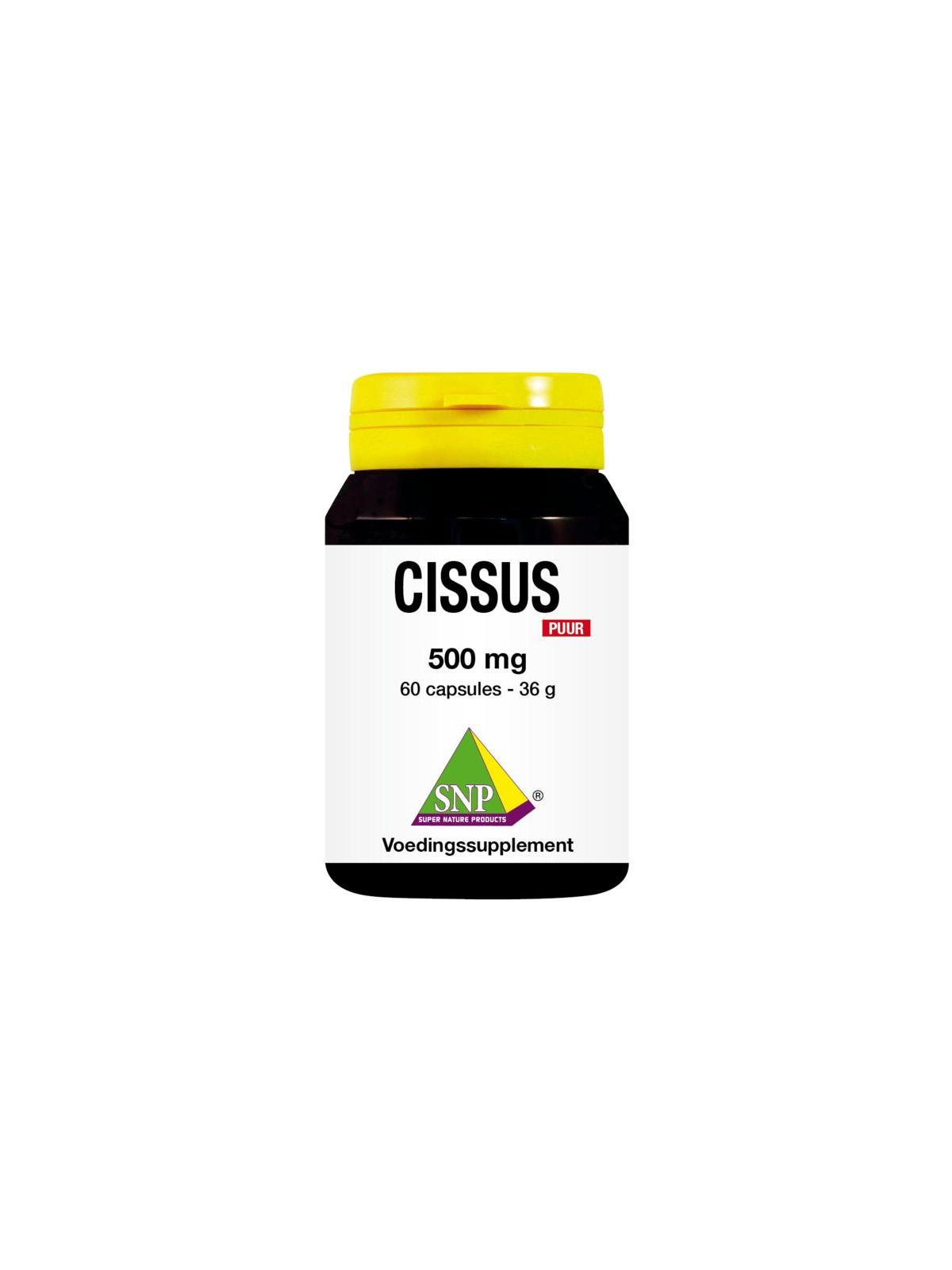 Cissus 500mg puur