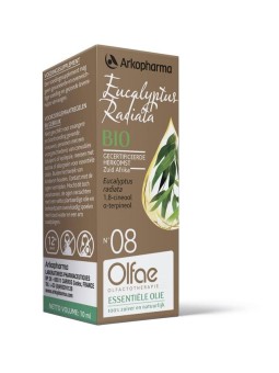 Eucalyptus radiata 08 bio