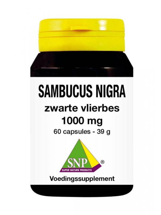 Sambucus nigra zwarte vlierbes