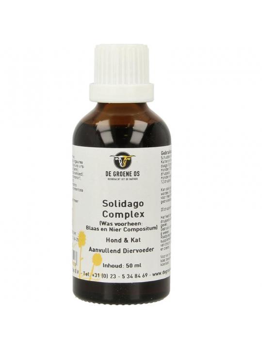 Solidago complex hond/kat