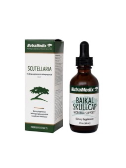 Scuttelaria