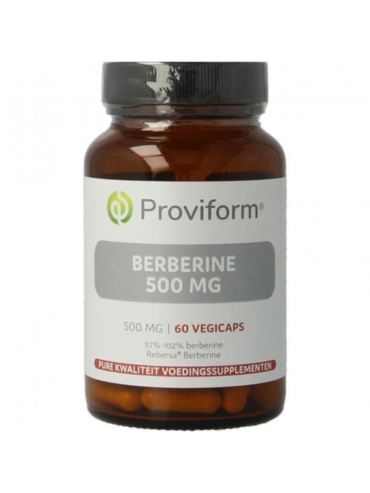 Berberine 500mg Rebersa